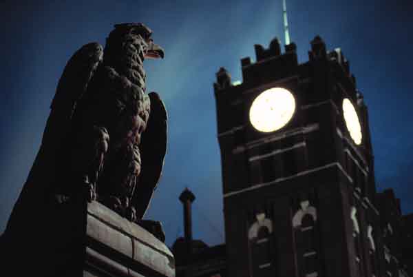 Clocktower and Eagle Statue at Night