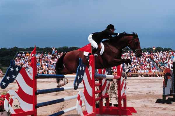 Equestrian Stadium Jumping