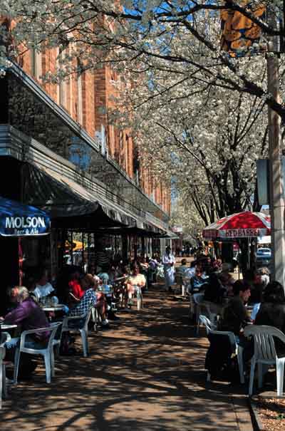 Sidewalk Cafe in University City