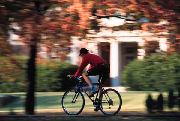 Man Riding Bicycle on Bike Path