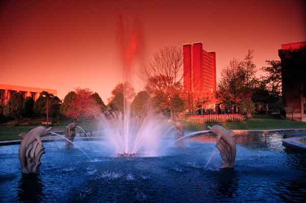 Dolphin Fountain with Sunrise Filters