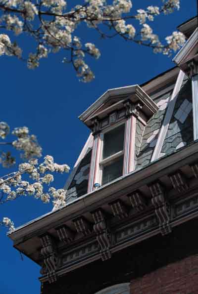 House Cornice with Spring Blossoms