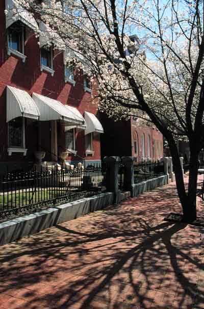 Residence and Spring Trees with Shadows on Sidewalk