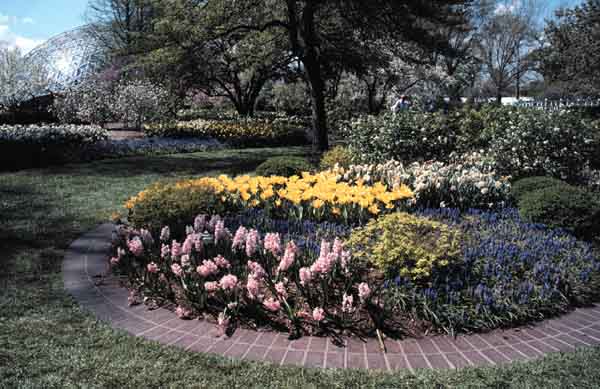 Spring Flower Bed and Climatron