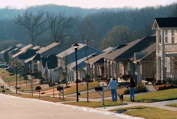 Couple Walking Dog on Residential Street