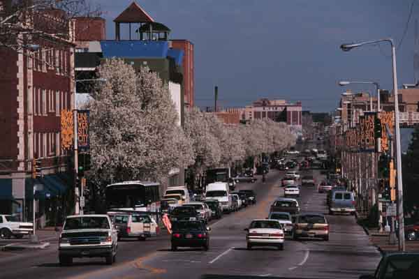 University City Street in Spring