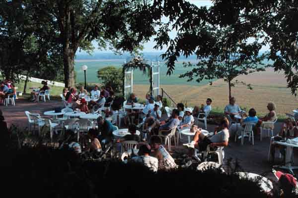 Mt. Pleasant Winery Patio Bar B Q